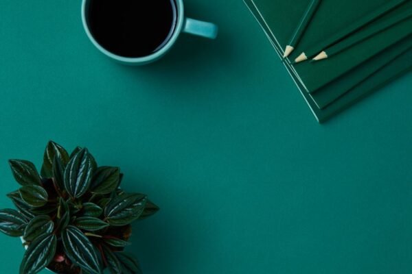 Crypings.com: Complete Guide to Features, Benefits & Future in the Digital Era Crypings.com